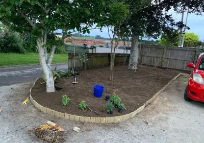 Gardening