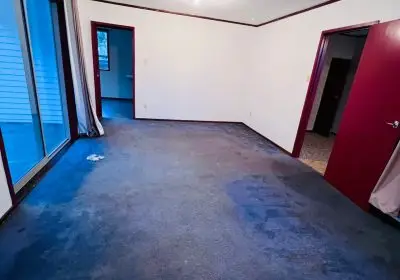 Carpet Cleaning