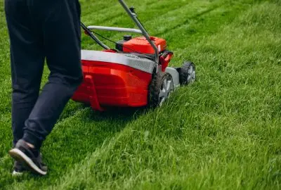 Gardening